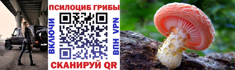 Купить закладки  Щёлково  Псилоцибиновые грибы Magic Shrooms 
